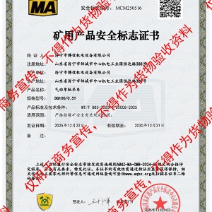 博信安標(biāo)證DQ100/0.5Y